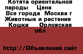 Котята ориентальной пароды  › Цена ­ 12 000 - Все города, Москва г. Животные и растения » Кошки   . Орловская обл.